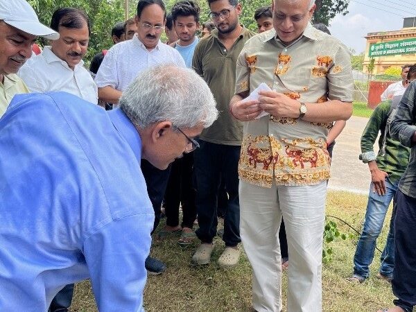 एक पेड़ माँ के नाम’ अभियान के तहत वृक्षारोपण