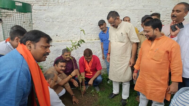 पूर्व मंत्री एवं शहर दक्षिणी विधायक डा नीलकंठ तिवारी ने किया १०० पौधों का वृक्षारोपण