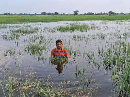 जयंत चौधरी का योगी को लेट किसानों को मुआवजा दें