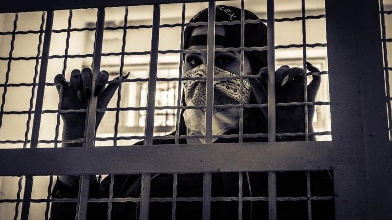 बांग्लादेशी पोर्न स्टार रिया बार्डे को अवैध रूप से भारत में रहने के आरोप में गिरफ्तार किया गया