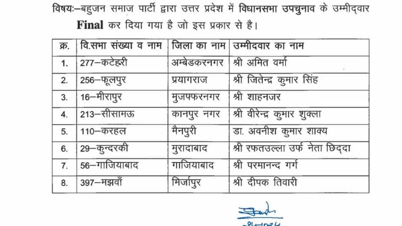 उपचुनाव के लिए बीएसपी के आठ उम्मीदवार घोषित