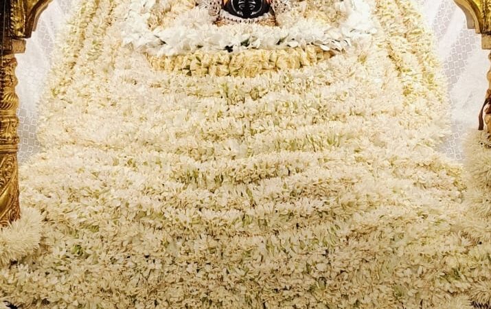 शरद पूर्णिमा पर श्याम मंदिर में लीलाधर की सजी झांकी