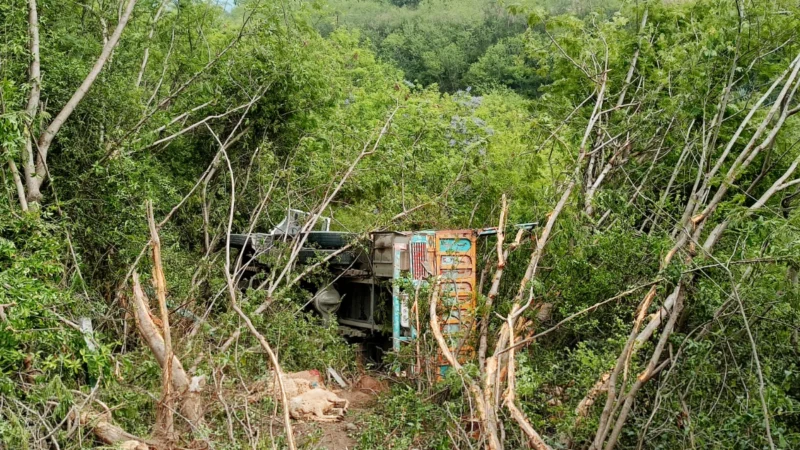 कर्नाटक: कार खाई में गिरने से बुजुर्ग महिला की मौत