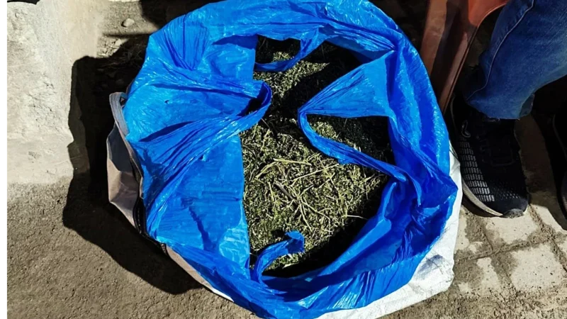 दिल्ली हवाई अड्डे पर 9.91 करोड़ का गांजा जब्त