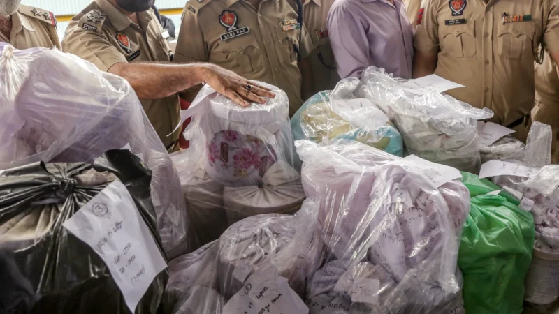 पंजाब में मादक पदार्थ का तस्कर गिरफ्तार