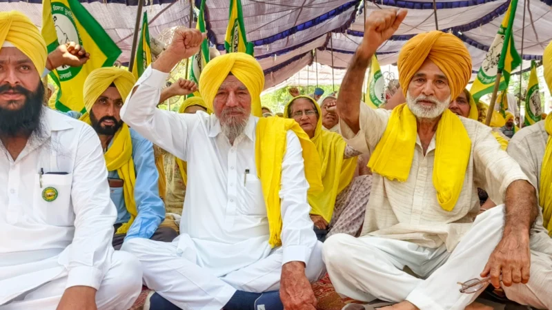 पंजाब : किसानों ने धान की धीमी खरीद के विरोध में फगवाड़ा राजमार्ग पर जाम किया