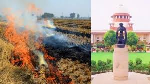 पराली जलाने पर सुप्रीम कोर्ट की हरियाणा पंजाब सरकार को चेतावनी