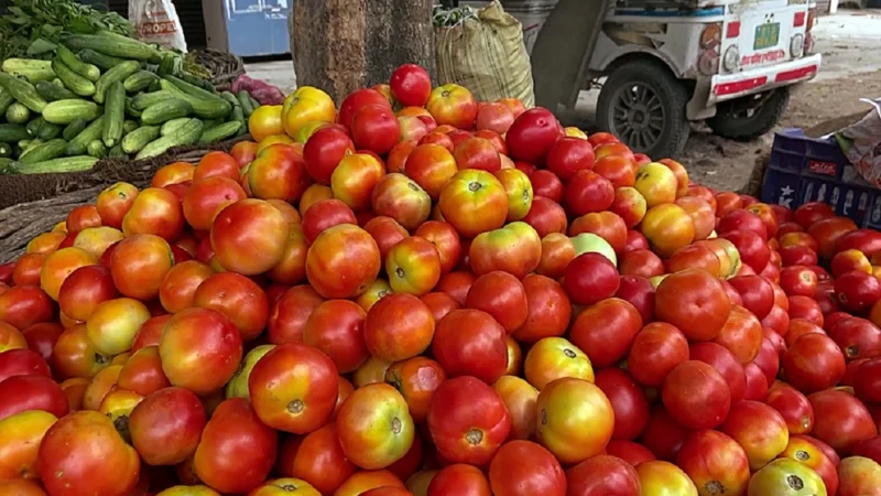 फेस्टिव सी़जन से पहले और भी महंगा हुआ टमाटर