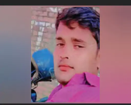 नाग को पीटकर मारा एक घंटे में नागिन ने डंसा मौत