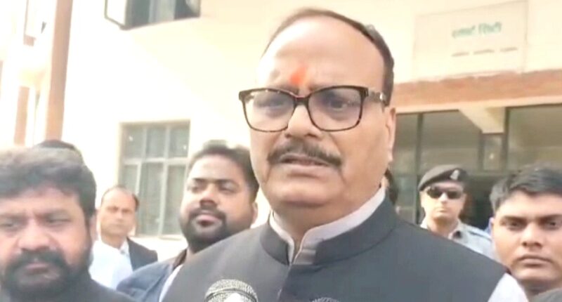 संभल हिंसा पर पर डिप्टी सीएम बृजेश पाठक का बयान, सभी अपराधी समाजवादी