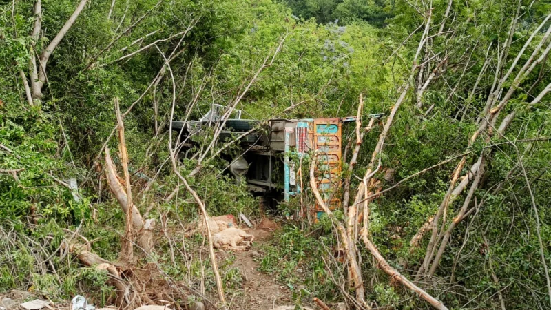 राजस्थान: कार खाई में गिरने से चार सदस्यों की मौत