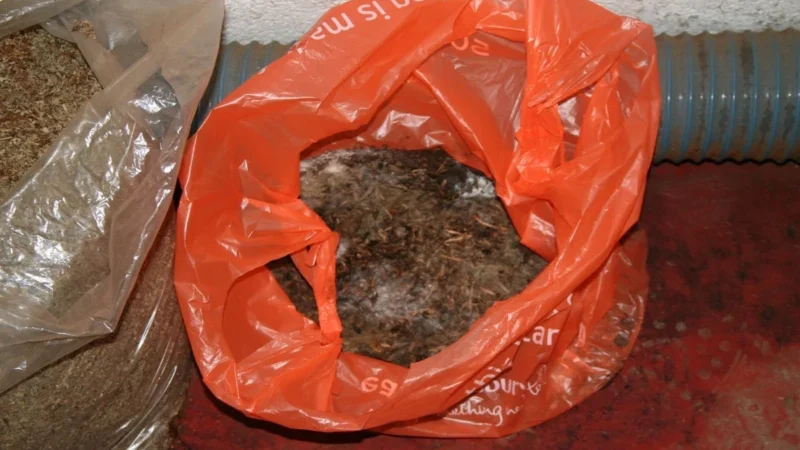 महाराष्ट्र: ठाणे जिले में 32 लाख का गुटखा जब्त