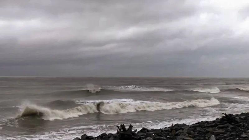 भारी बारिश के कारण कई जिलों में स्कूल बंद