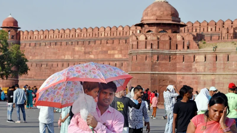 लाल किला हमारे पुरखों का, सरकार ने कब्जा कर लिया, कोर्ट पहुंची मुगल परिवार की बहू