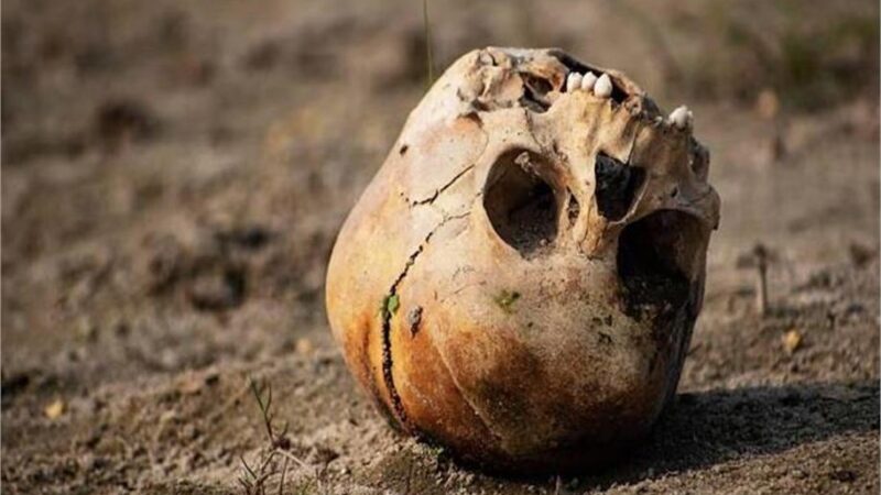 पकड़ा गया खोपड़ियांं चुराने वाला, चोर हुआ चौकाने वाला खुलासा