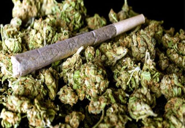 एक करोड़ का गांजा पकड़ा गया, फलों के खाली कैरेट में मिला 141  किलो गांजा