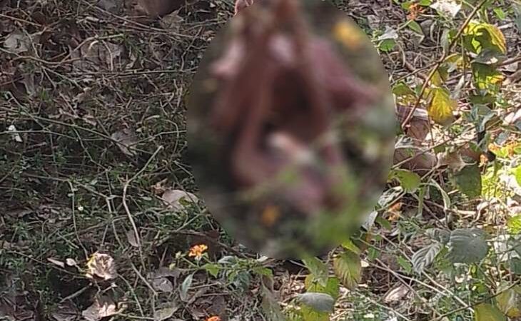 अयोध्या में दलित युवती की नृशंस हत्या मामले में ३ आरोपी गिरफ्तार