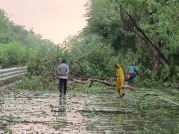 यूपी में आंधी-बारिश का कहर: 10 की मौत, अयोध्या में ट्रॉली पलटने से गई 3 महिलाओं की जान