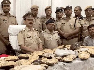 वाराणसी रेलवे स्टेशन पर ट्रेन से बरामद हुए 60 दुर्लभ कछुए, कीमत 12 लाख से अधिक