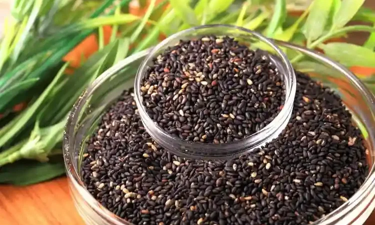 हड्डियों को मजबूत बनातें हैं काले तिल, डाइट में अवश्य करें शामिल
