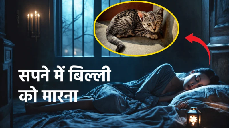 सपने में बिल्ली को मारना: शुभ है या अशुभ? जानिए स्वप्न शास्त्र और ज्योतिषीय संकेत