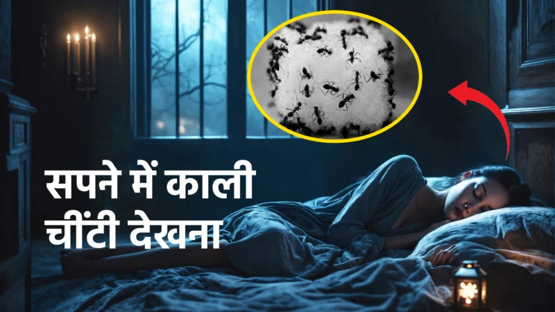 सपने में काली चींटी देखना: मेहनत, सफलता और चेतावनी से जुड़ा राज़