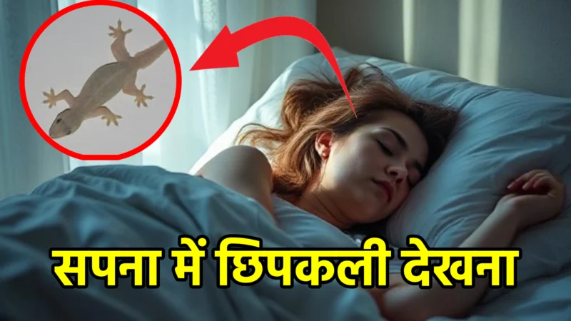 सपना में छिपकली देखना – अर्थ, संकेत और महत्व