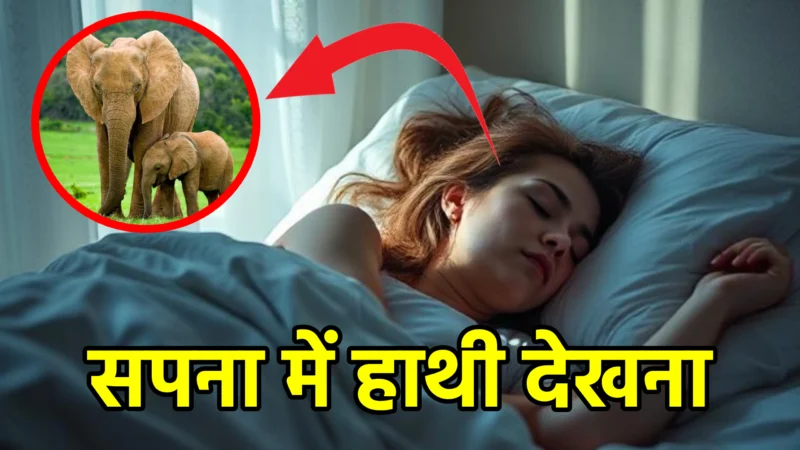सपना में हाथी देखना – क्या है इसका सही अर्थ?