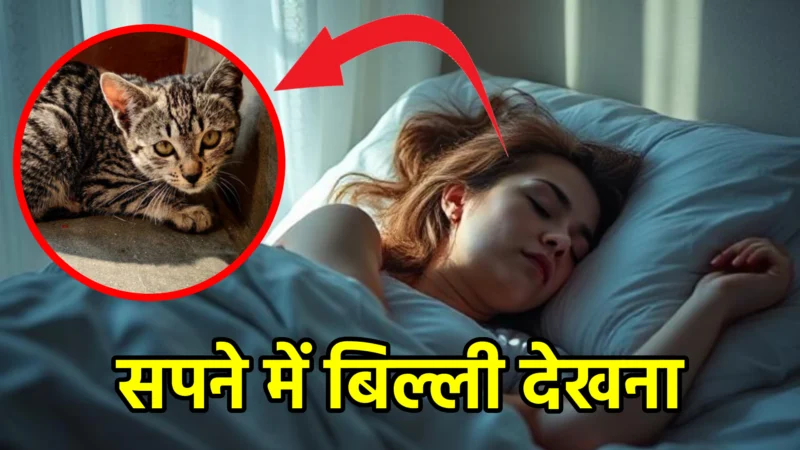सपने में बिल्ली देखना – क्या है इसका सही अर्थ?