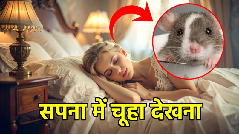 सपना में चूहा देखना – जानिए इसका गहरा अर्थ और संकेत