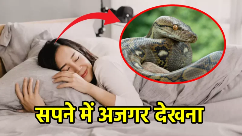 सपने में अजगर देखना – स्वप्न शास्त्र और जीवन में संकेत
