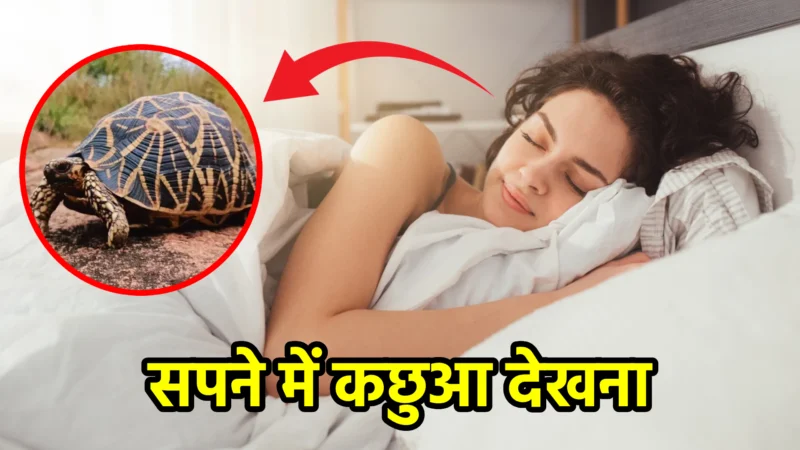 सपने में कछुआ देखना – क्या बताता है यह सपना?
