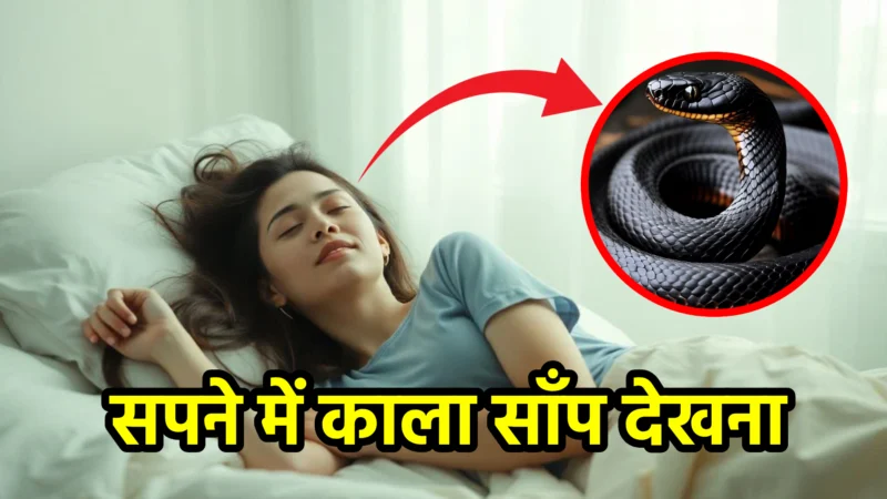 सपने में काला साँप देखना – शुभ या अशुभ संकेत?