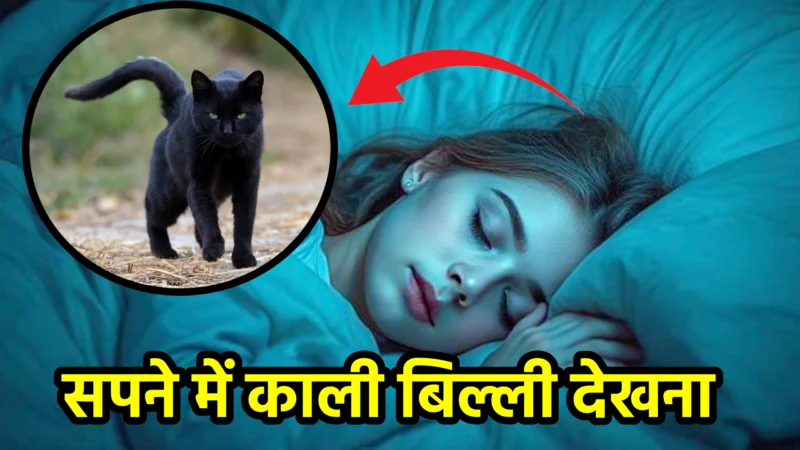 सपने में काली बिल्ली देखना – स्वप्न शास्त्र और जीवन में संकेत