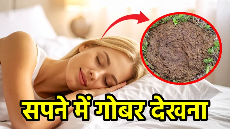 सपने में गोबर देखना – स्वप्न शास्त्र और जीवन में संकेत
