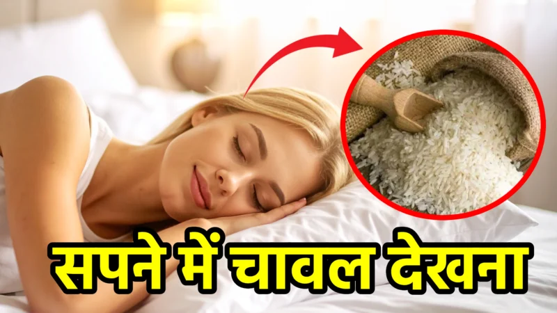 सपने में चावल देखना – स्वप्न शास्त्र और जीवन में संकेत
