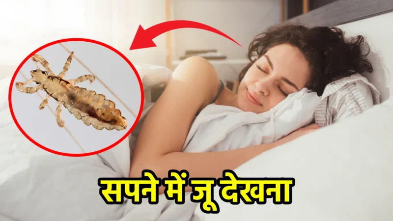 सपने में जू देखना – क्या संकेत देता है यह सपना?