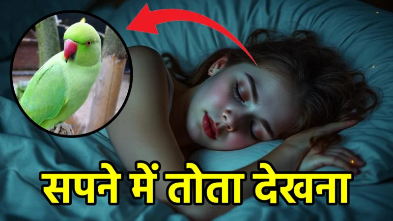 सपने में तोता देखना – स्वप्न शास्त्र और जीवन में संकेत