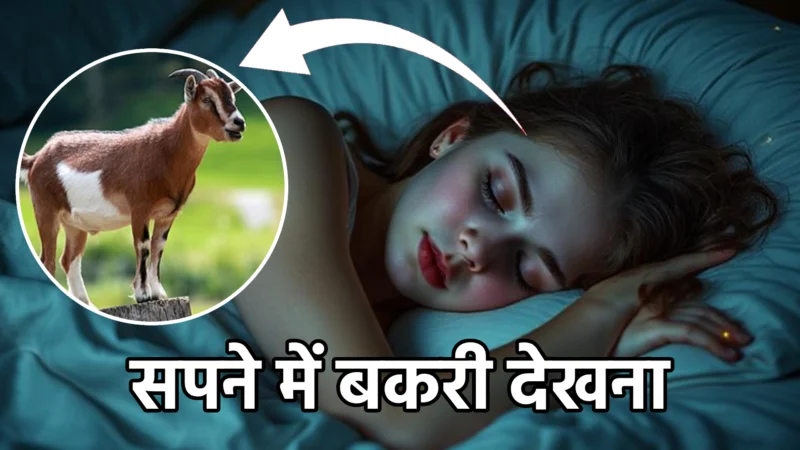 सपने में बकरी देखना – क्या है इसका शुभ-अशुभ अर्थ?