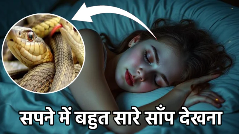 सपने में बहुत सारे साँप देखना – स्वप्न शास्त्र के अनुसार संकेत