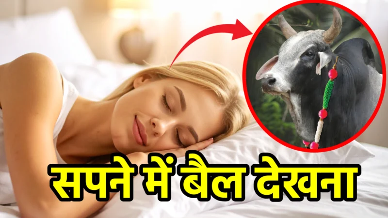 सपने में बैल देखना – स्वप्न शास्त्र और जीवन में संकेत