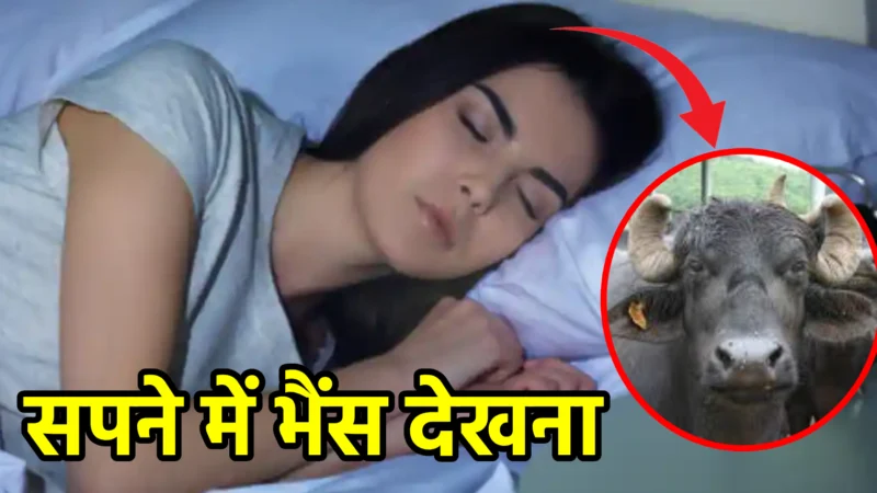 सपने में भैंस देखना – शुभ संकेत है या अशुभ?