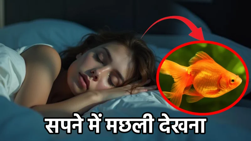 सपने में मछली देखना – क्या है इसका मतलब? विस्तृत विश्लेषण
