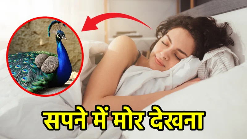 सपने में मोर देखना – शुभ या अशुभ?