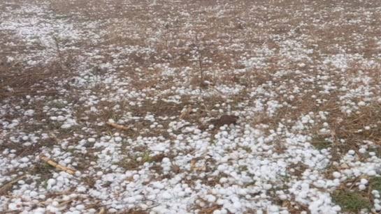 मानसून विदाई से पहले यूपी में मूसलाधार बरसात, पश्चिमी जिलों में ओले गिरने का अलर्ट