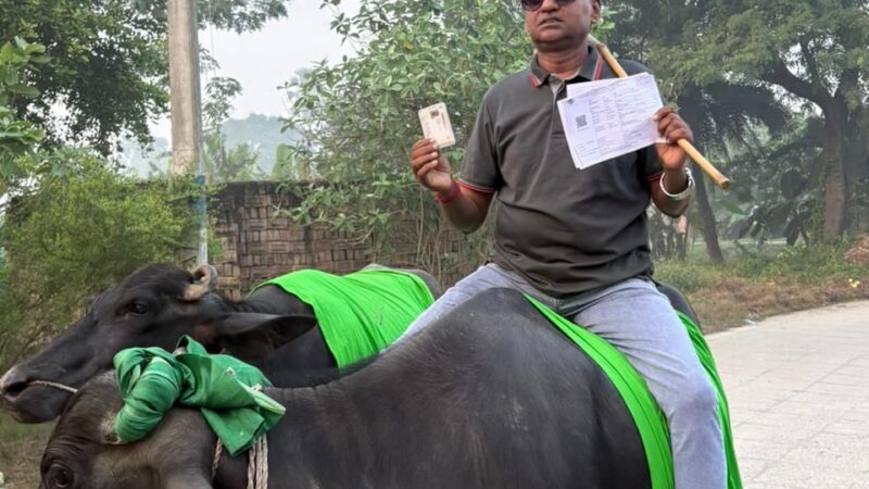 भैंस पर सवार होकर मतदान केंद्र पहुंचे किसान, लोकतंत्र के महापर्व में वैशाली से आई अनोखी तस्वीर