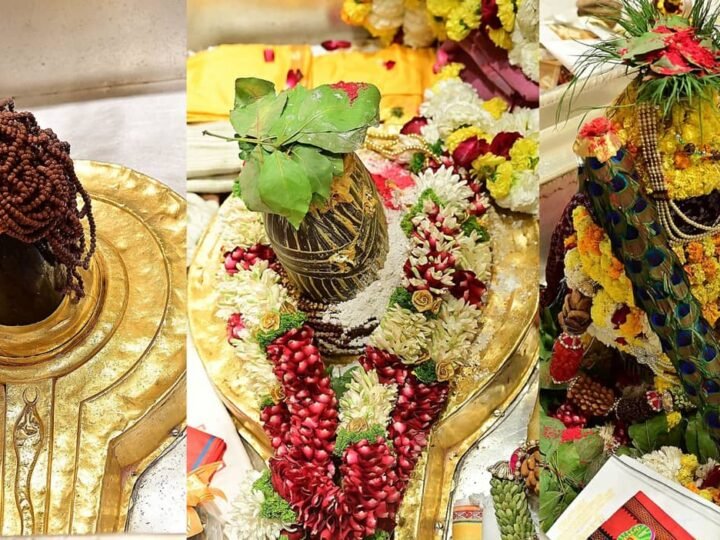 महाशिवरात्रि पर काशी विश्वनाथ मंदिर में विवाद, एसडीएम पर अभद्रता के आरोप; प्रशासन ने जांच शुरू की