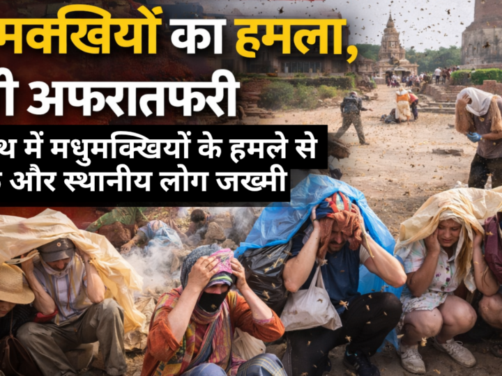 सारनाथ में मधुमक्खियों का हमला, पर्यटकों में मची अफरातफरी; 20 से अधिक घायल