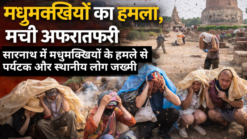 सारनाथ में मधुमक्खियों का हमला, पर्यटकों में मची अफरातफरी; 20 से अधिक घायल