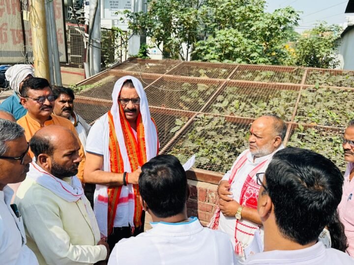 नाला सफाई में लापरवाही पर सख्त हुए मेयर, चितईपुर निरीक्षण के दौरान कार्रवाई के निर्देश